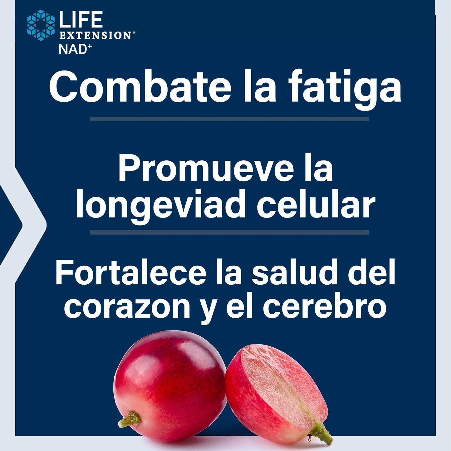 Resveratrol: Regenerador Celular NAD+ & Activador Metabólico