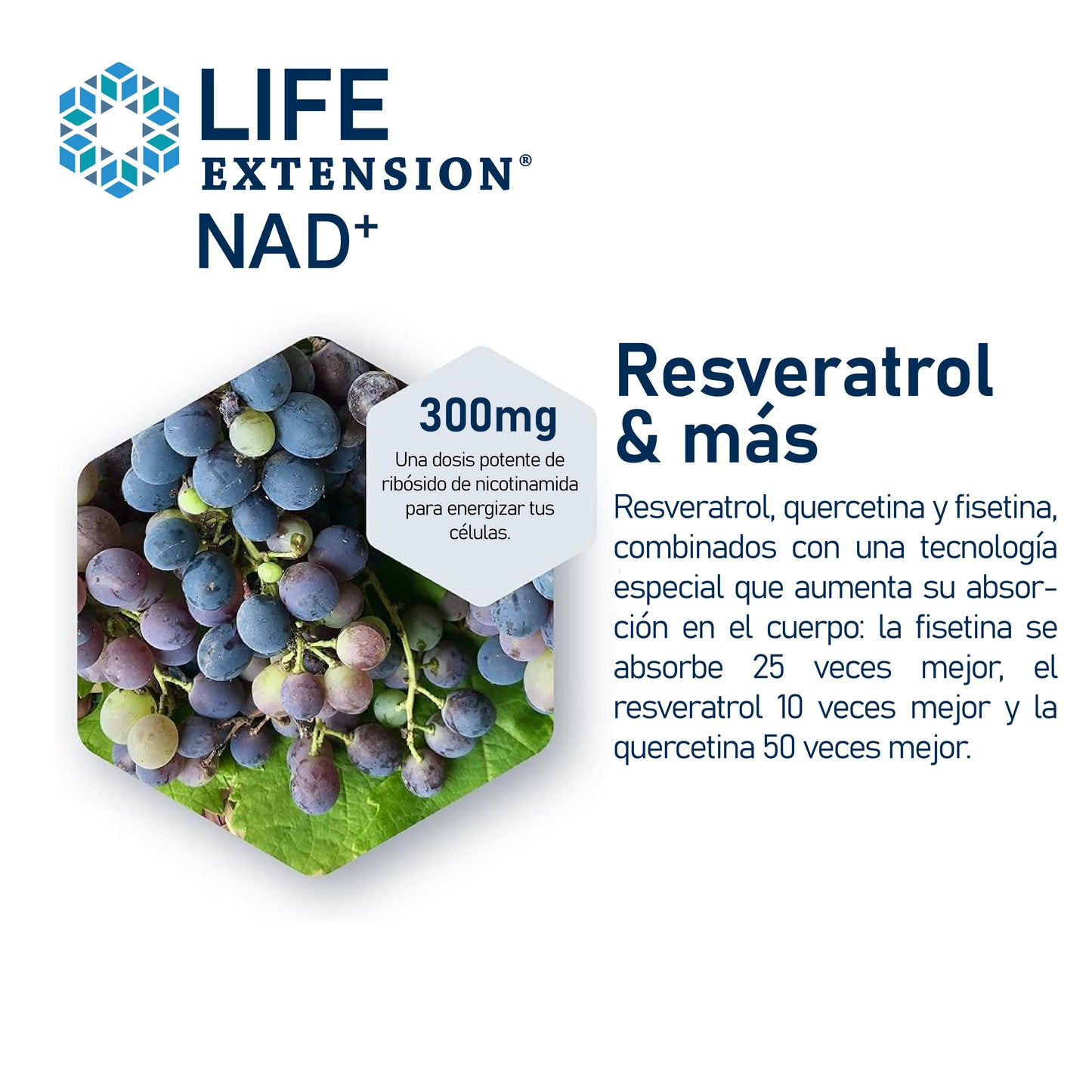 Resveratrol: Regenerador Celular NAD+ & Activador Metabólico
